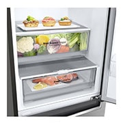 LG Altijd zuinig | D | Door Cooling+ | 341L inhoud | Total no frost | Inverter Linear Compressor| Groter koel & vriesvak | 36dB – Stilste koelkast, GBB61PZGFN