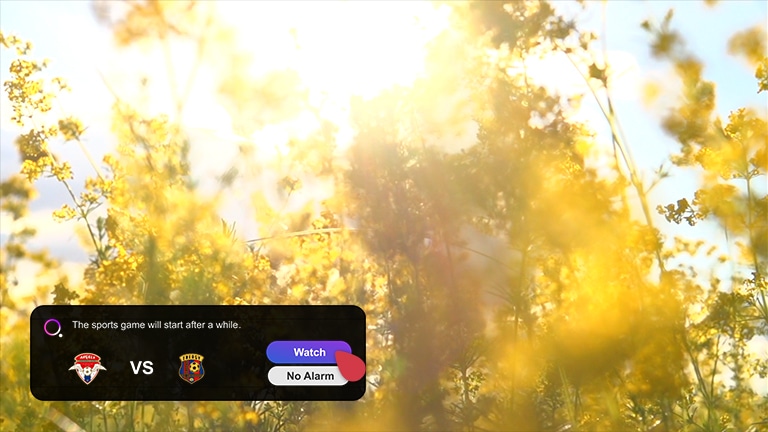 Een scherm toont een weide met bloeiende gele wilde bloemen en er is een sportalarm-popup in de linker benedenhoek die de huidige score toont. Een cursor klikt op de Watch knop en de scène verandert in een voetbalwedstrijd. 