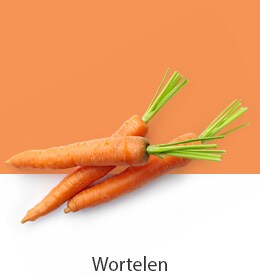 REF-NatureFRESH-Vplus-03-UsefulTips-04-4-Carrots