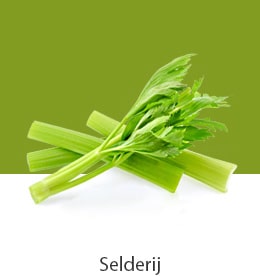 REF-NatureFRESH-Vplus-03-UsefulTips-04-7-Celery