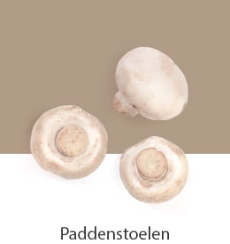 REF-NatureFRESH-Vplus-03-UsefulTips-04-9-Mushrooms