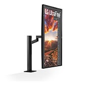 LG 31,5" UHD 4K Ergo IPS-monitor met USB Type-C™, 32UN880-B