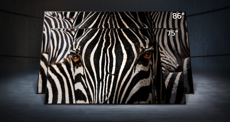 Een 75-inch LG NanoCell TV staat tegenover een 86-inch ultra-large LG NanoCell TV in een donkere ruimte. Op de schermen wordt een close-up afbeelding een zebra getoond.