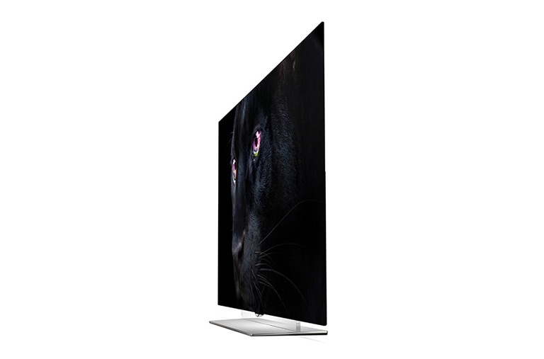 LG 55" (139 cm) | OLED Ultra HD TV | Flat Design | Oneindig Contrast | Absolute Motion Clarity | Perfecte Kijkhoek | OLED Panel | WebOS Smart TV 2.0, 55EF950V