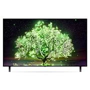 LG А1 48 inch 4K Smart OLED TV, OLED48A16LA