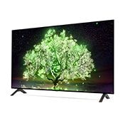 LG А1 48 inch 4K Smart OLED TV, OLED48A16LA