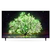 LG А1 55 inch 4K Smart OLED TV, OLED55A16LA