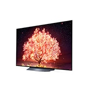 LG B1 55 inch 4K Smart OLED TV, OLED55B16LA