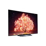 LG B1 55 inch 4K Smart OLED TV, OLED55B16LA