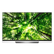 LG 55" (139 cm) LG OLED E8 | α9 Intelligent Processor | Oneindig contrast | Cinema HDR met Dolby Vision | Picture-on-Glass design, OLED55E8PLA