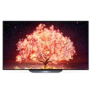 LG B1 65 inch 4K Smart OLED TV, OLED65B16LA