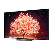 LG B1 65 inch 4K Smart OLED TV, OLED65B16LA