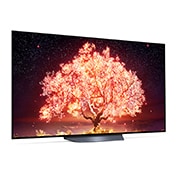 LG B1 65 inch 4K Smart OLED TV, OLED65B16LA