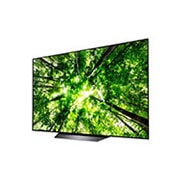 LG OLED65B8PLA, OLED65B8PLA