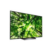 LG OLED65B8PLA, OLED65B8PLA
