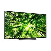 LG OLED65B8PLA, OLED65B8PLA