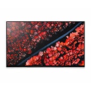 LG 65" (165 cm) LG OLED E9 | α9 Gen 2 Intelligent Processor | Oneindig contrast | Cinema HDR met Dolby Vision | Dolby Atmos | Picture-On-Glass design, OLED65E9PLA