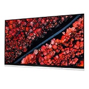 LG 65" (165 cm) LG OLED E9 | α9 Gen 2 Intelligent Processor | Oneindig contrast | Cinema HDR met Dolby Vision | Dolby Atmos | Picture-On-Glass design, OLED65E9PLA