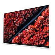 LG 65" (165 cm) LG OLED E9 | α9 Gen 2 Intelligent Processor | Oneindig contrast | Cinema HDR met Dolby Vision | Dolby Atmos | Picture-On-Glass design, OLED65E9PLA