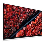 LG 65" (165 cm) LG OLED E9 | α9 Gen 2 Intelligent Processor | Oneindig contrast | Cinema HDR met Dolby Vision | Dolby Atmos | Picture-On-Glass design, OLED65E9PLA