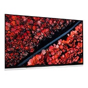 LG 65" (165 cm) LG OLED E9 | α9 Gen 2 Intelligent Processor | Oneindig contrast | Cinema HDR met Dolby Vision | Dolby Atmos | Picture-On-Glass design, OLED65E9PLA