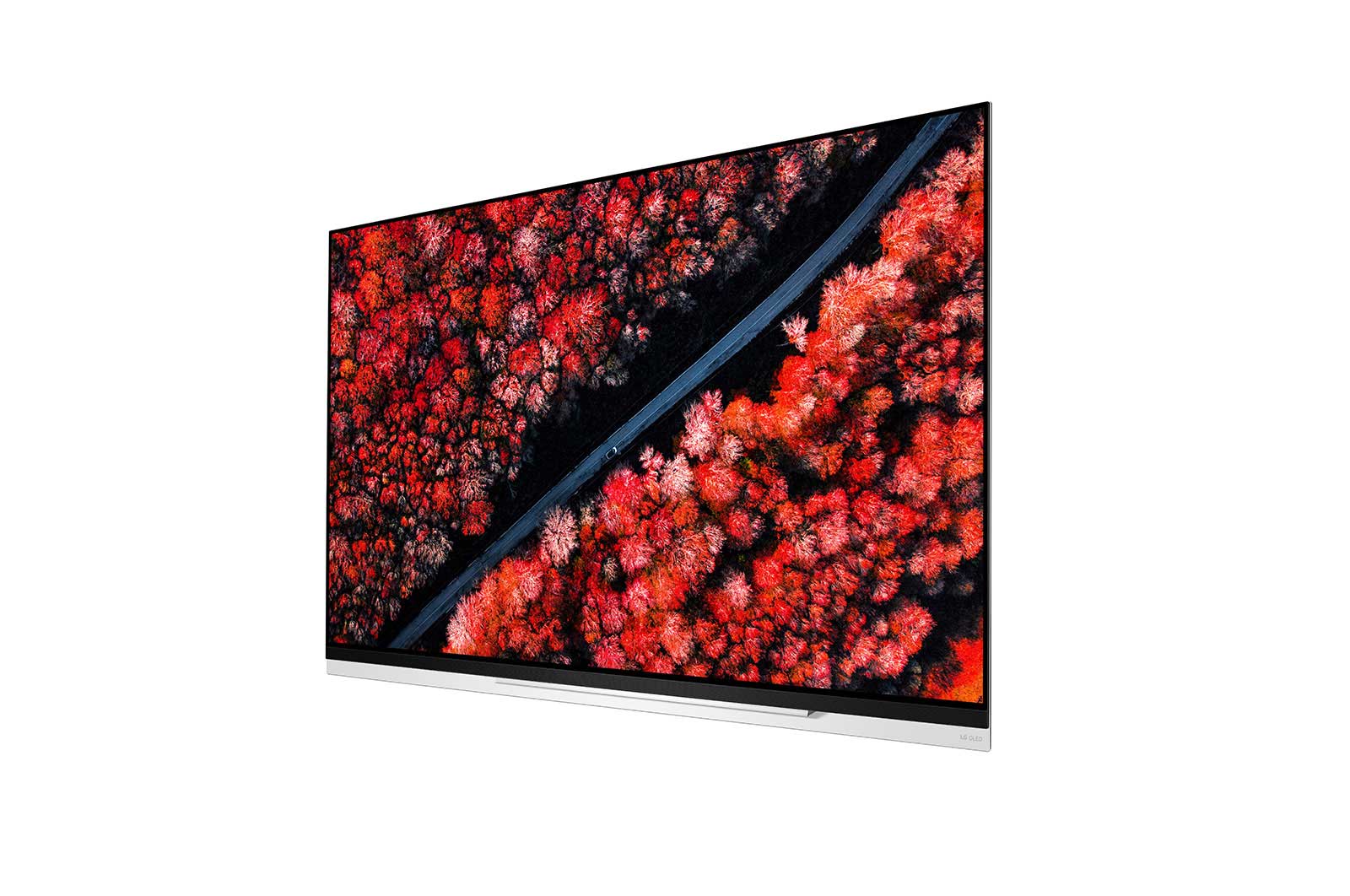 LG 65" (165 cm) LG OLED E9 | α9 Gen 2 Intelligent Processor | Oneindig contrast | Cinema HDR met Dolby Vision | Dolby Atmos | Picture-On-Glass design, OLED65E9PLA