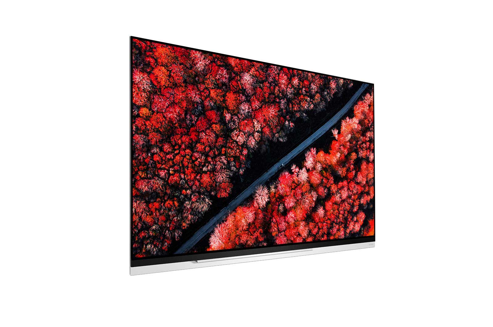 LG 65" (165 cm) LG OLED E9 | α9 Gen 2 Intelligent Processor | Oneindig contrast | Cinema HDR met Dolby Vision | Dolby Atmos | Picture-On-Glass design, OLED65E9PLA