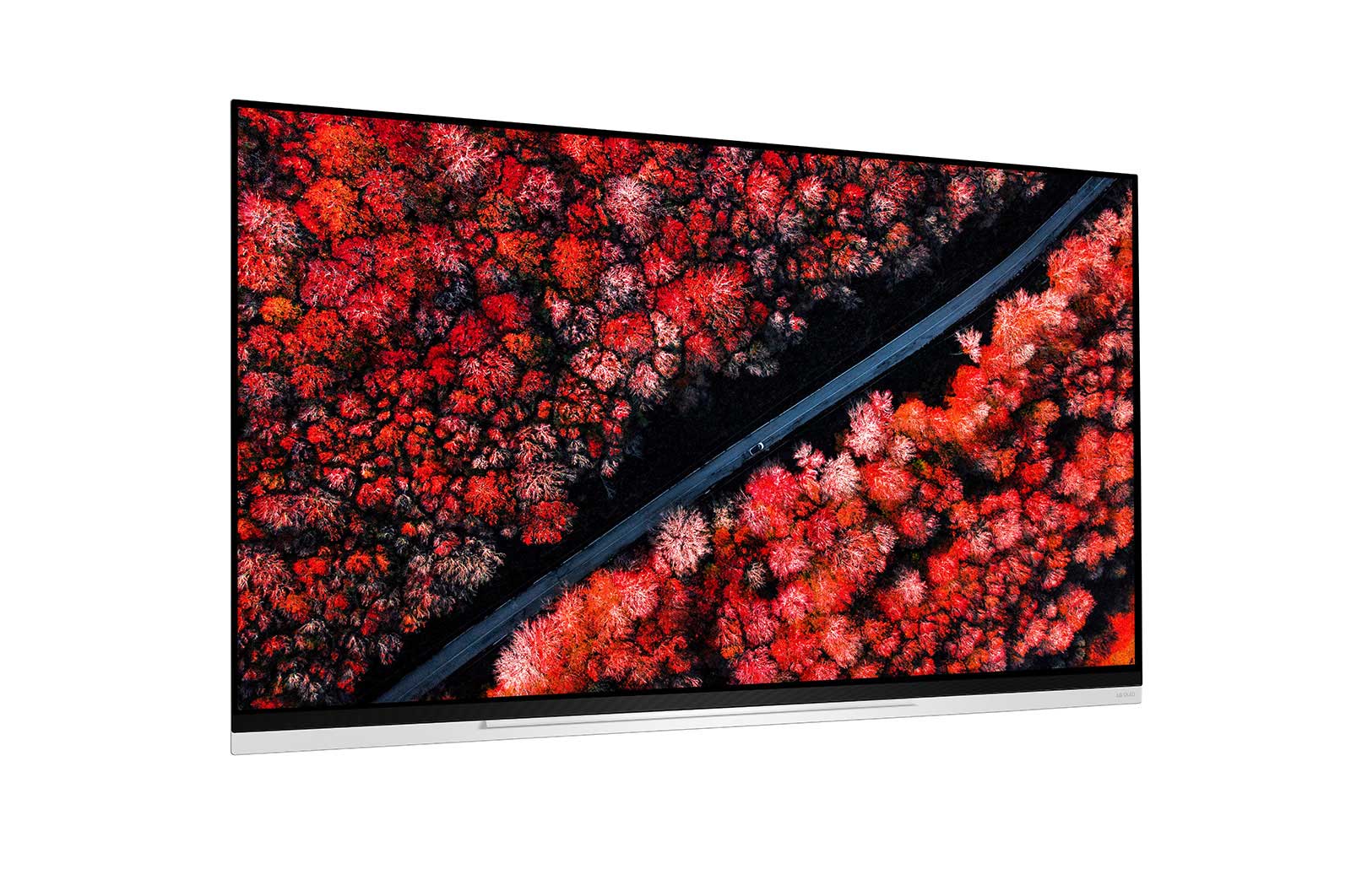 LG 65" (165 cm) LG OLED E9 | α9 Gen 2 Intelligent Processor | Oneindig contrast | Cinema HDR met Dolby Vision | Dolby Atmos | Picture-On-Glass design, OLED65E9PLA