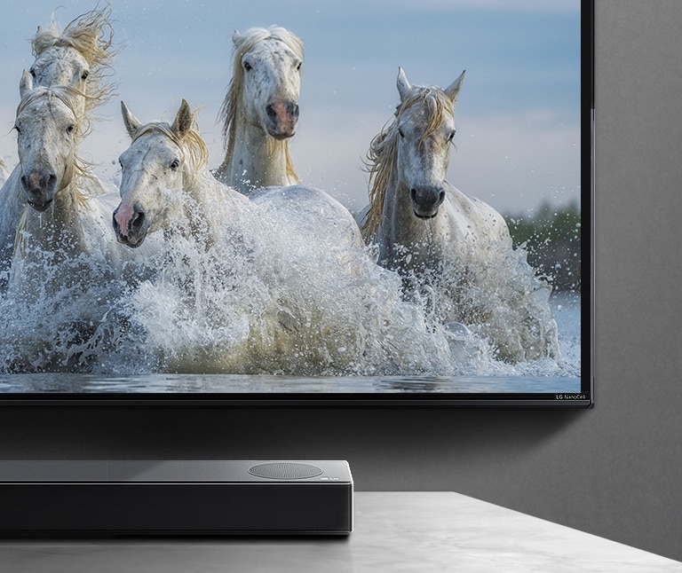 Een helft van het onderste scherm en de helft van de soundbar. De tv toont witte paarden die boven het water lopen.