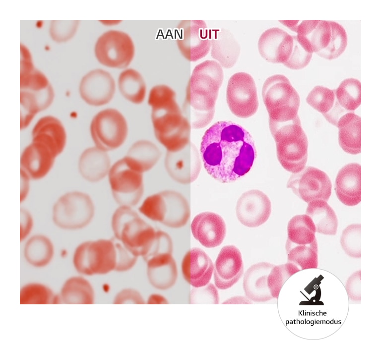 Nauwkeurige kleurenreproductie