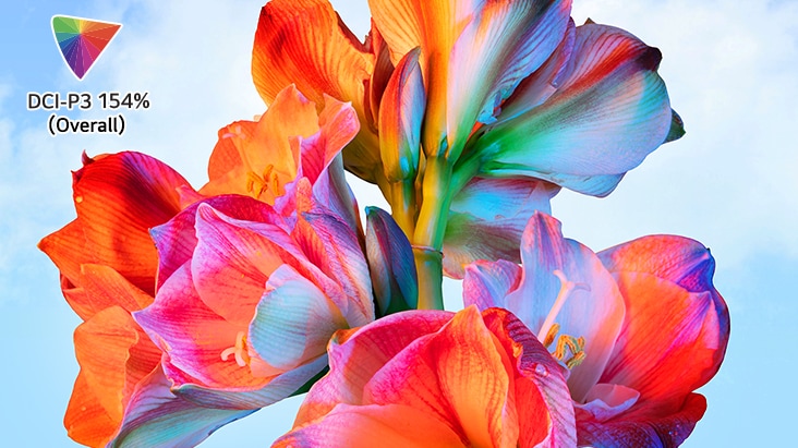 Levendige bloemenafbeelding met DCI-P3 154% kleurenlogo linksboven