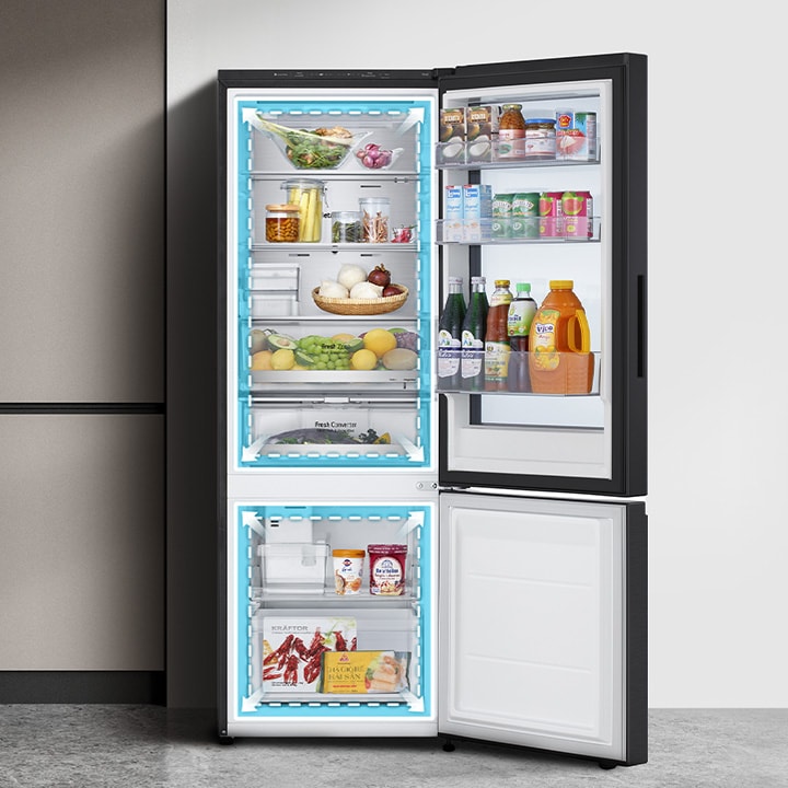 Graphic showing the interior size of the LG bottom freezer.