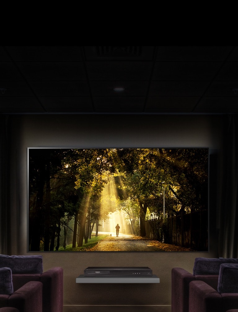 Dolby Vision, because every frame of video matters