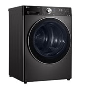 LG 10kg Series 10 Heat Pump Dryer with Inverter Control, DVH10-10B