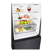 LG 420L Bottom Mount Fridge - Matte Black Finish, GB-455MBL