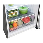 LG 375L Top Mount Fridge in Stainless Finish, GT-5S