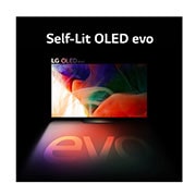 LG Objet Collection – Posé 55'' 4K OLED, 55LX1Q6LA