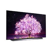 LG OLED48C1PVB, OLED48C1PVB