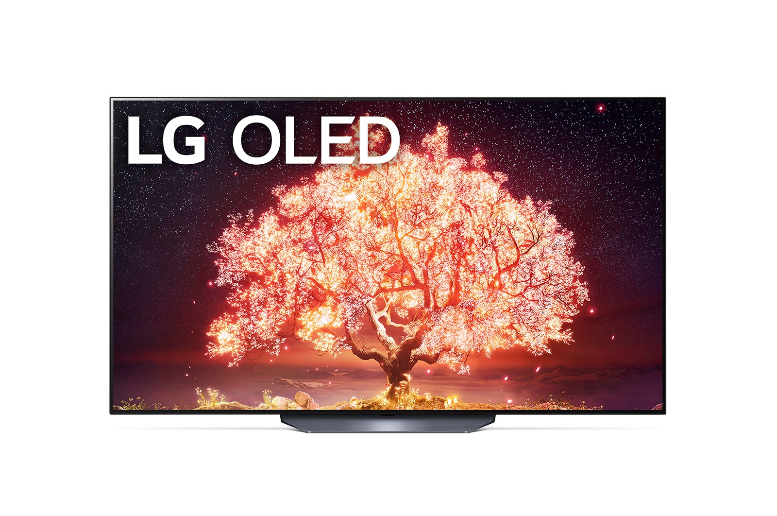 LG B1 65 inch 4K Smart Self-Lit OLED TV w/ AI ThinQ<sup>®</sup> , OLED65B1PVA