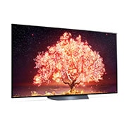 LG B1 65 inch 4K Smart Self-Lit OLED TV w/ AI ThinQ<sup>®</sup> , OLED65B1PVA