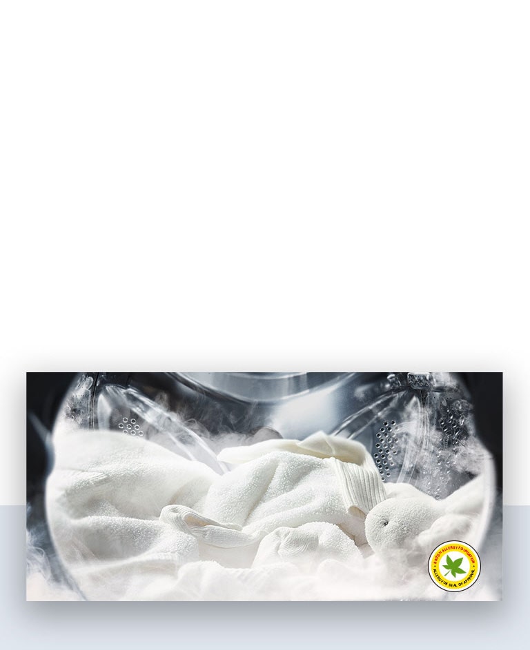 Reduce Allergens with the ‘Allergy Care' Cycle<br>1