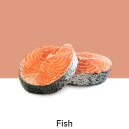 REF-NatureFRESH-LinearTF-03-UsefulTips-04-12-Fish_v1.jpg