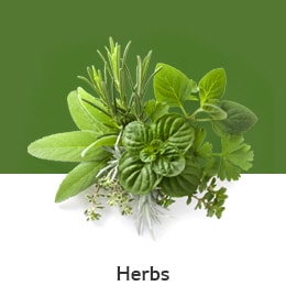 REF-NatureFRESH-LinearTF-03-UsefulTips-04-6-Herbs_v1.jpg