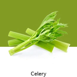 REF-NatureFRESH-LinearTF-03-UsefulTips-04-7-Celery_v1.jpg