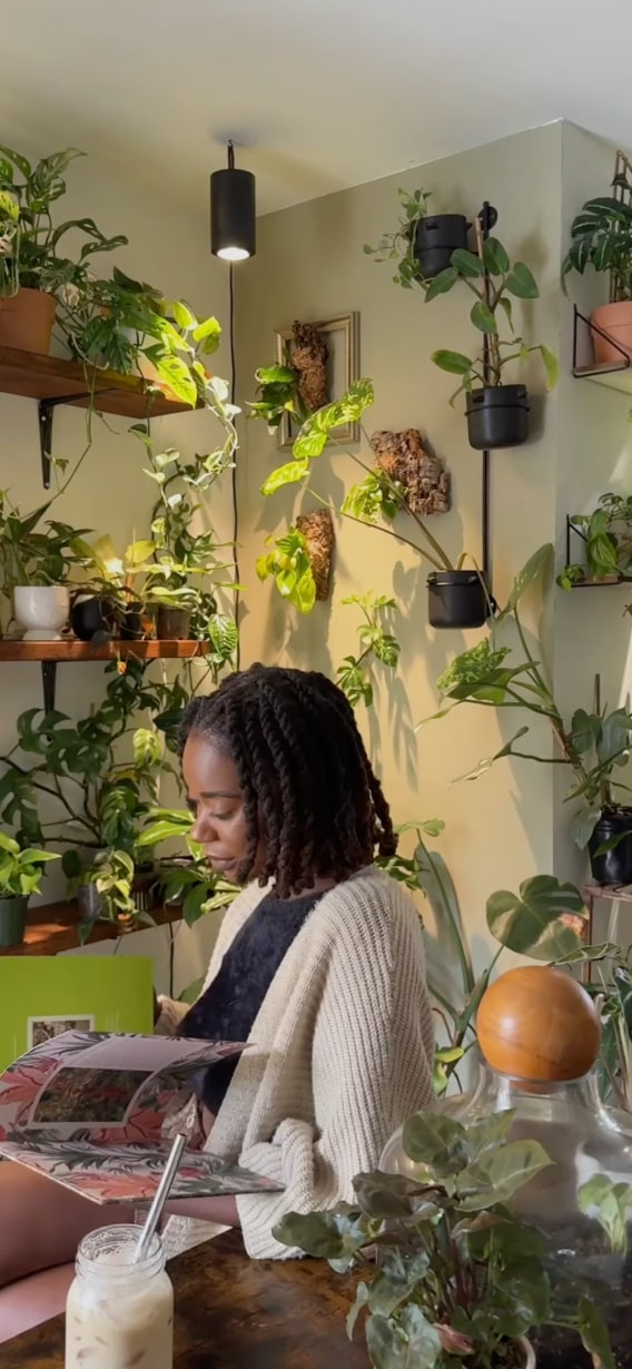 Una persona leyendo un libro en una habitación acogedora llena de plantas, que irradia calidez y tranquilidad.