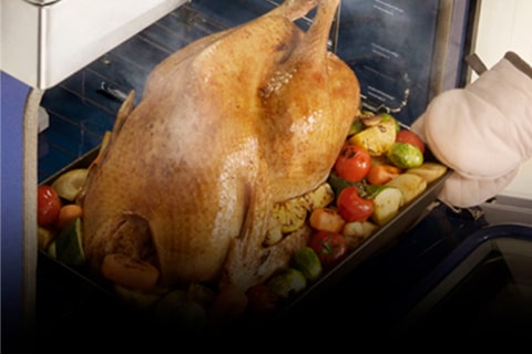 Mayor Capacidad para cocinar platillos de gran tamaño