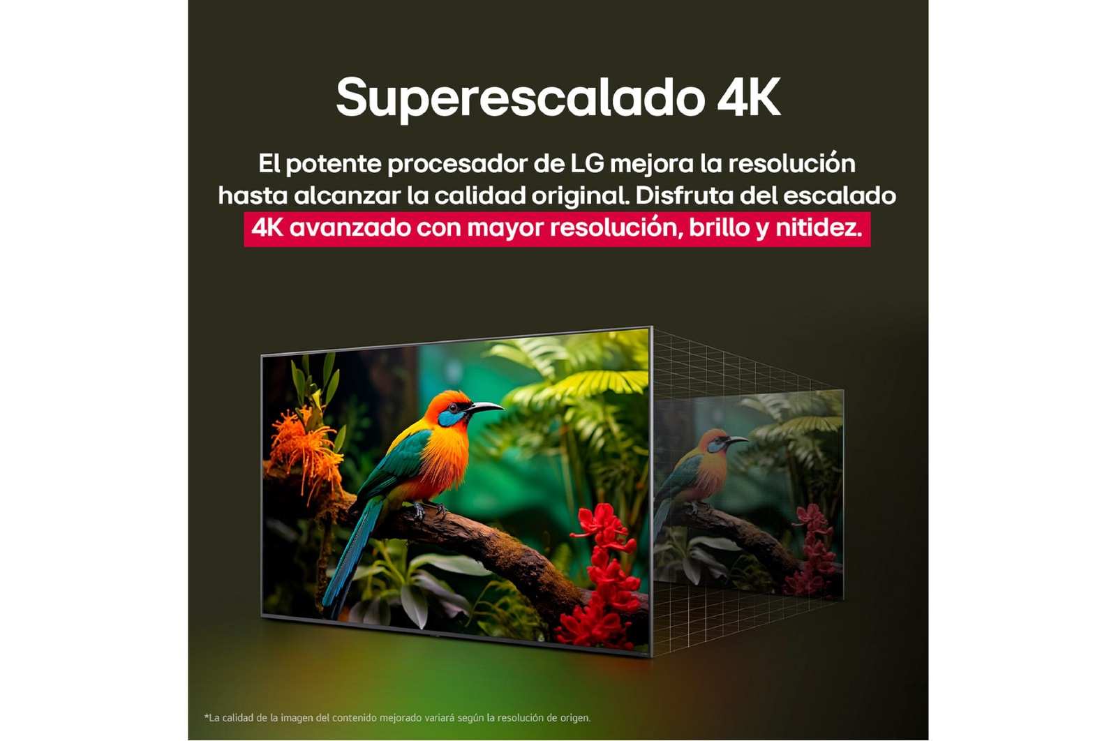 Comparación de antes y después de cómo el superescalado 4K de LG mejora la calidad de la imagen. Dos paneles muestran la misma imagen de un pájaro colorido posado en una rama en el bosque, el panel de la derecha está difuminado. El título habla de cómo el superescalado 4K mejora la resolución, el brillo y la claridad.
