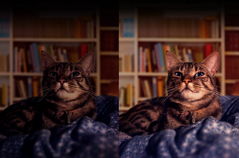 Las mismas fotos de un gato que se ve oscuro a la izquierda e iluminado a la derecha