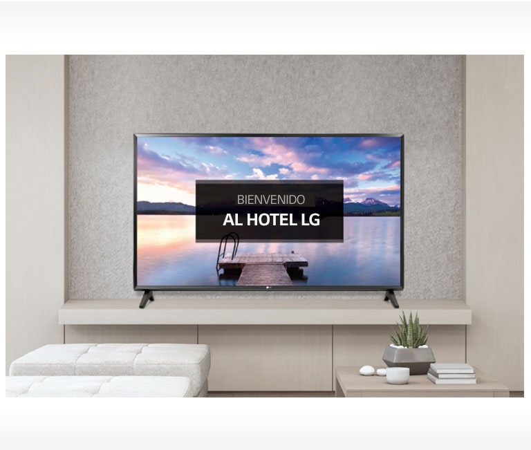 Pantalla / Video de bienvenida1