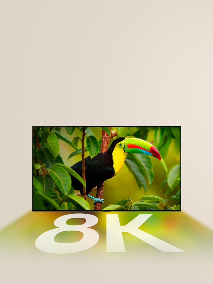 Televisor LG que muestra un pájaro exótico con árboles en la pantalla y los colores de la pantalla y "8K" en blanco reflejándose debajo del televisor LG.